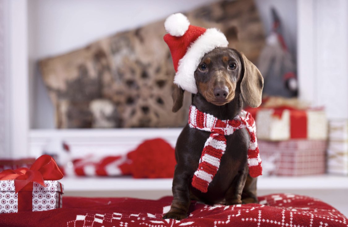Faces Magazine (@facesottawa) on Twitter photo 🎁🎄$6000 HOLIDAY CONTEST: RT for your chance to win $3000 cash + we will donate $3000 to the Ottawa charity of your choice in your name - Presented by <a href="/TheTulipTeam/">The Tulip Team - Your Ottawa REALTORS®</a> 🎁🎄 #ottawa 🎁🎄$6000 HOLIDAY CONTEST: RT for your chance to win $3000 cash + we will donate $3000 to the Ottawa charity of your choice in your name - Presented by <a href="/TheTulipTeam/">The Tulip Team - Your Ottawa REALTORS®</a> 🎁🎄 #ottawa
