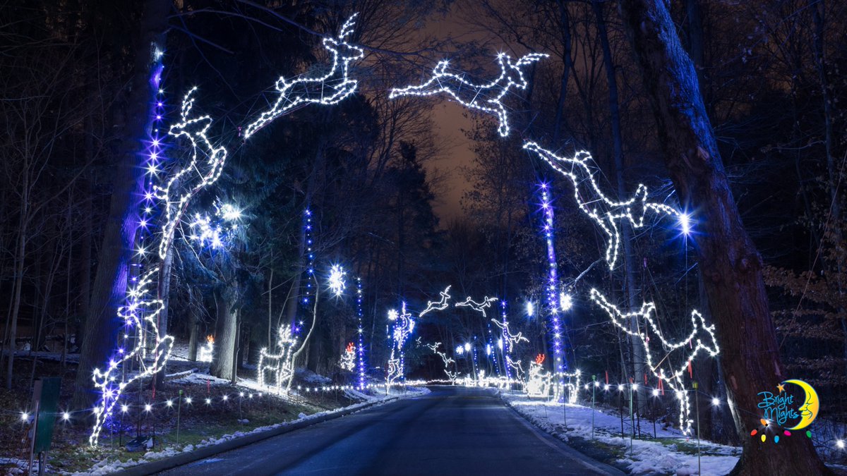 BrightNightsFP's tweet image. Fun Fact Friday - The deer in 𝗪𝗶𝗻𝘁𝗲𝗿 𝗪𝗼𝗼𝗱𝘀 leap 25 feet in the air and 38 feet across the road.  The display is sponsored by @WWLP22News and @EversourceMA.

Be sure to look for Rudolph!

#brightnights2021
#brightnightsfp
#leapingdeer
#holidaylights
#springfieldma