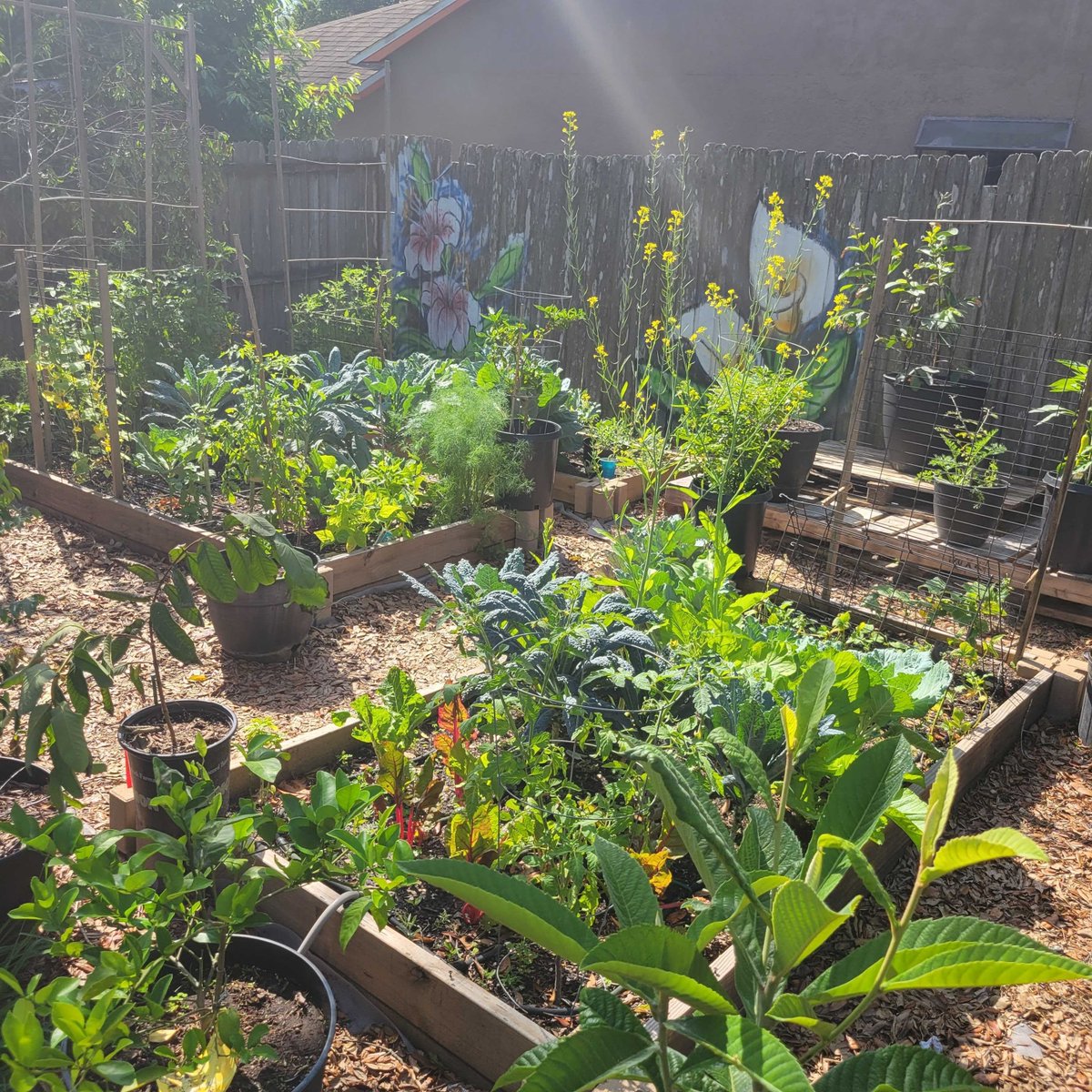 Grow_Orlando's tweet photo. TEASER: We will be introducing you to this micro-farm in January. That's right we have a 5th farm as part of our network! https://t.co/GUYAOPyzuE