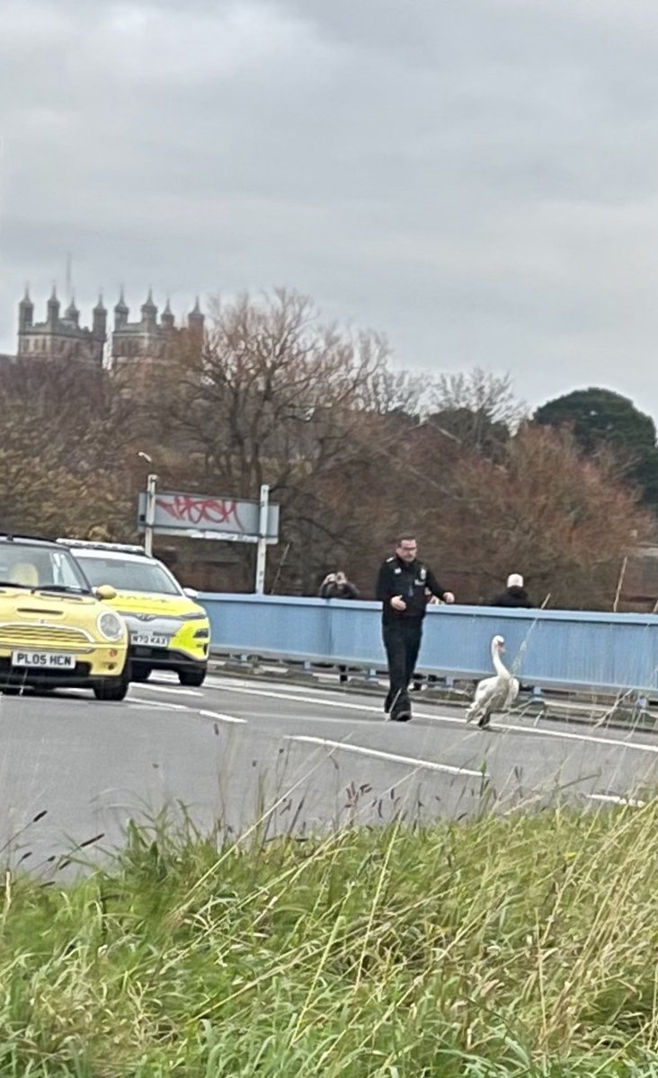 Peter Ian Staker. <a href="/simonpegg/">simonpegg</a> <a href="/nickjfrost/">Nick Frost</a> #exeter #devon