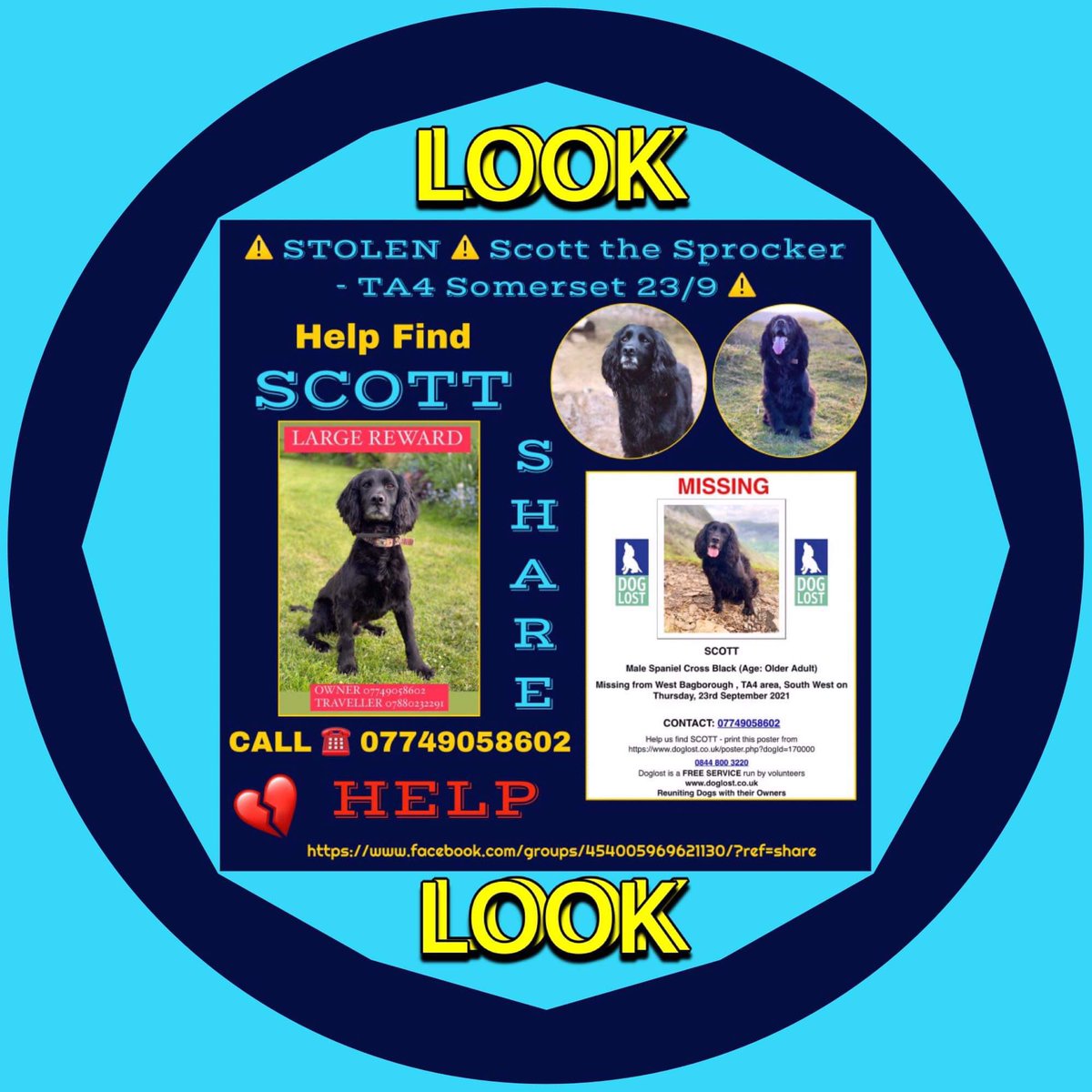 spaniel alert (@rosiedoc2) on Twitter photo <a href="/CrowcombeCClub/">Crowcombe Cricket Club</a>
Pls could we ask….we need SCOTTS face all over local areas to #Bagborough he’s an older #Spaniel missing since 23/9/21 his family have done extensive searches so now thinking he’s moved out of area! We need 👀everywhere TY 💔
#findScott
doglost.co.uk/dog-blog.php?d… <a href="/CrowcombeCClub/">Crowcombe Cricket Club</a>
Pls could we ask….we need SCOTTS face all over local areas to #Bagborough he’s an older #Spaniel missing since 23/9/21 his family have done extensive searches so now thinking he’s moved out of area! We need 👀everywhere TY 💔
#findScott
doglost.co.uk/dog-blog.php?d…