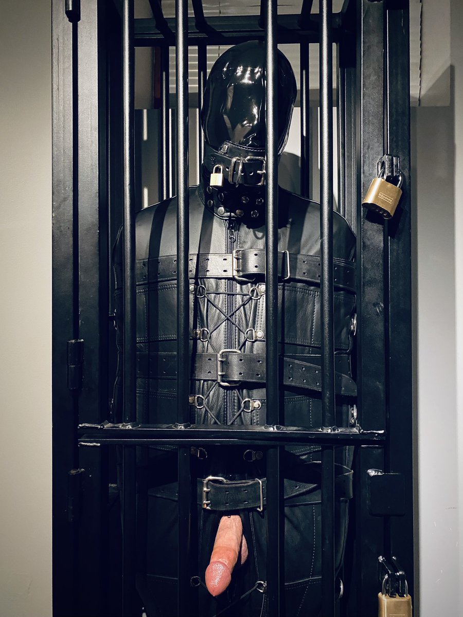 GimpHarrison tweet media