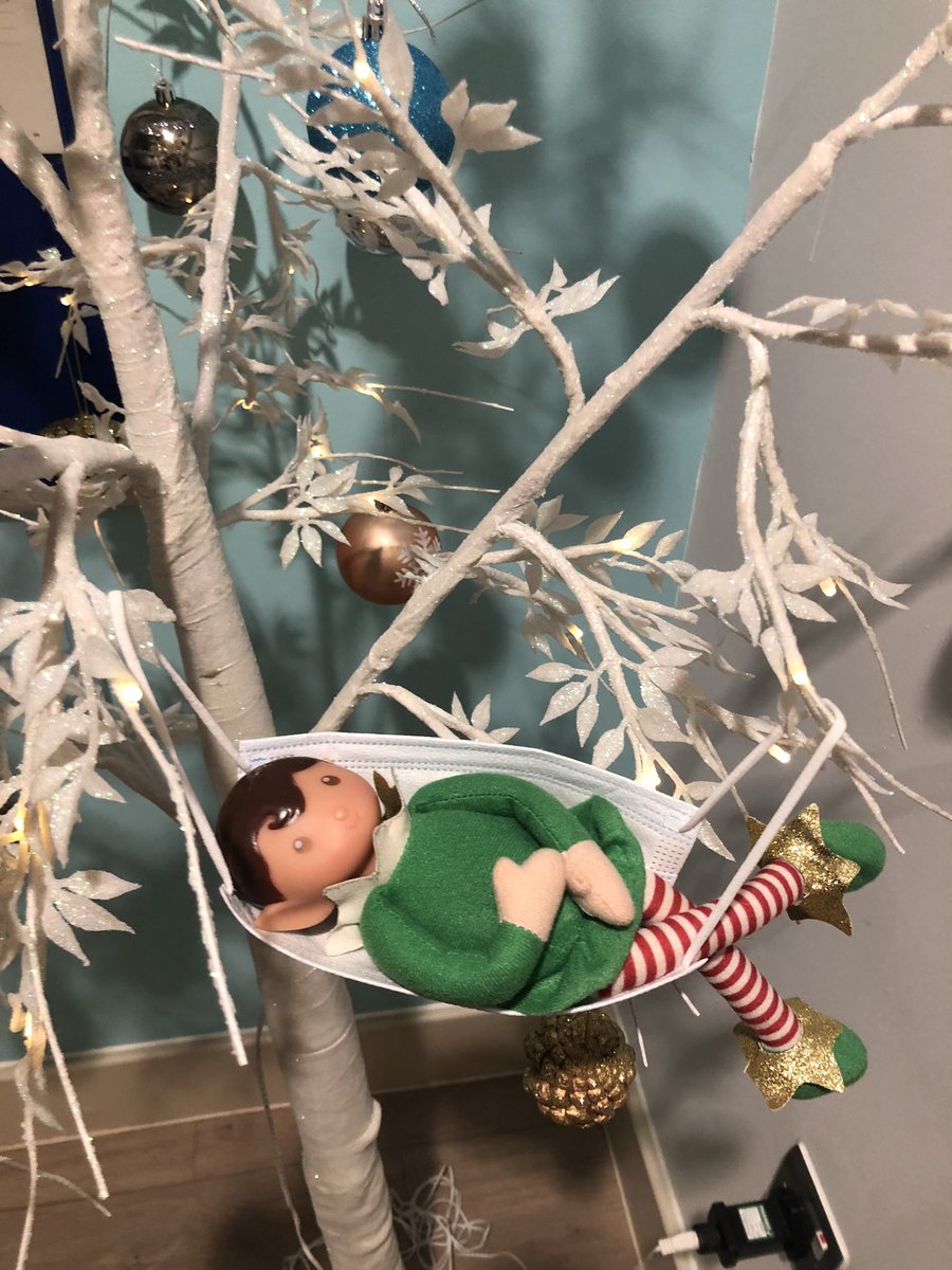 gemsy21's tweet photo. Just chilling in the tree in a mask hammock #junipers #picu #naughtelf https://t.co/zteU53uymX