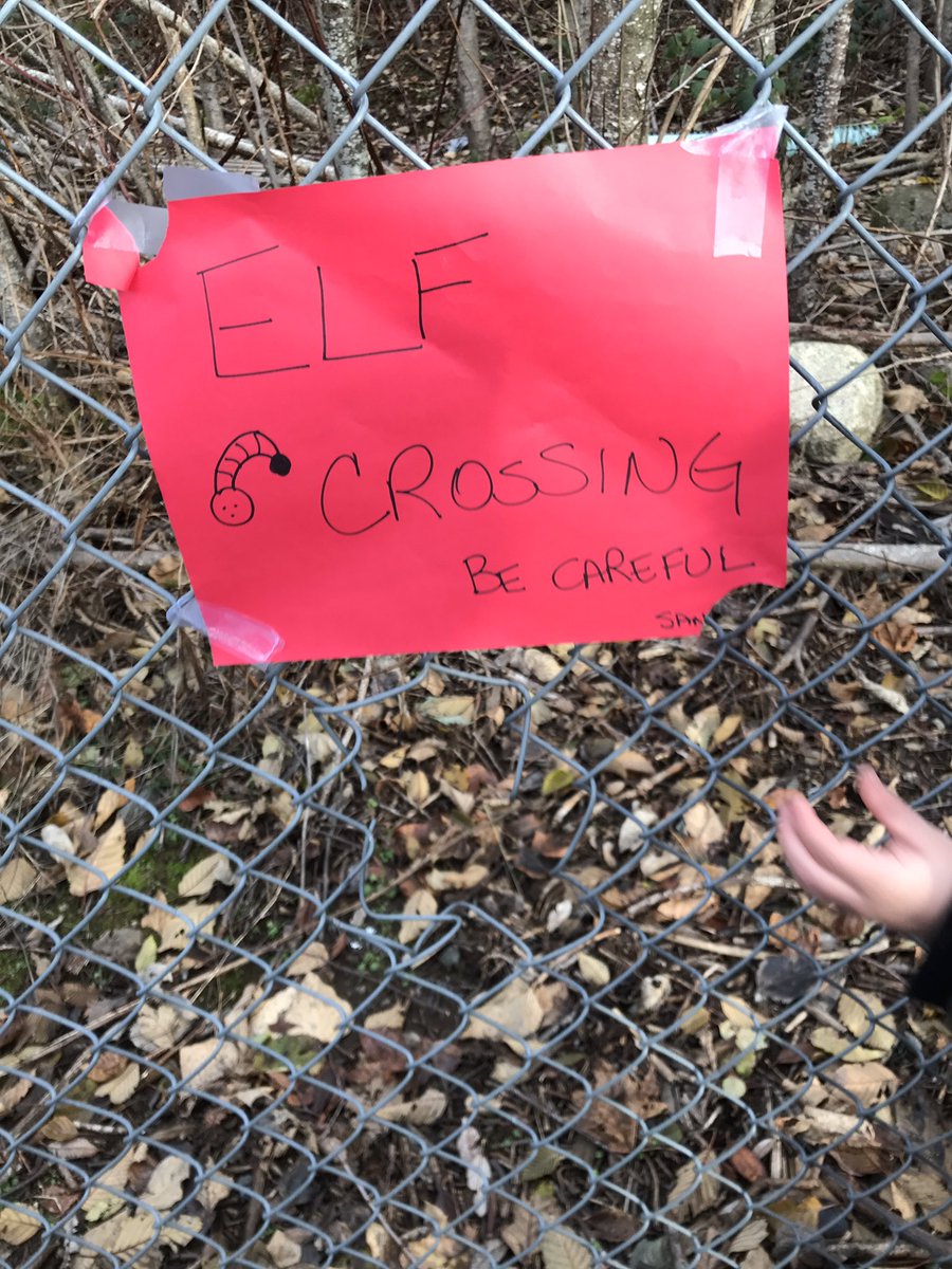 Hmmmm… it appears <a href="/PCAbbotsford/">Prince Charles Elementary Abbotsford</a> might be home to some mischievous elves… we think they might have dance parties at night in our school. Students are hoping our PAC might fund some elf cams….or security…. #abbyschools