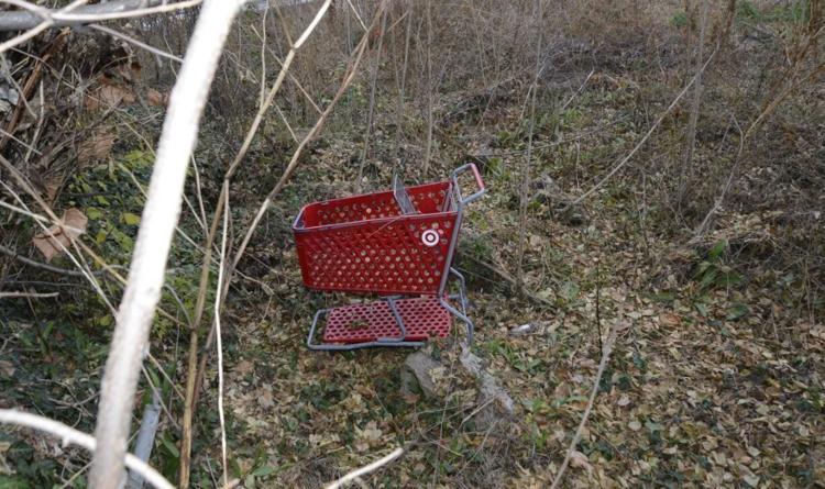Police in Virginia say the discovery of four bodies at two different locations in the state are the work of a serial killer who used a shopping cart to transport his victims’ bodies after meeting them on dating sites: kctv5.com/police-4-bodie…