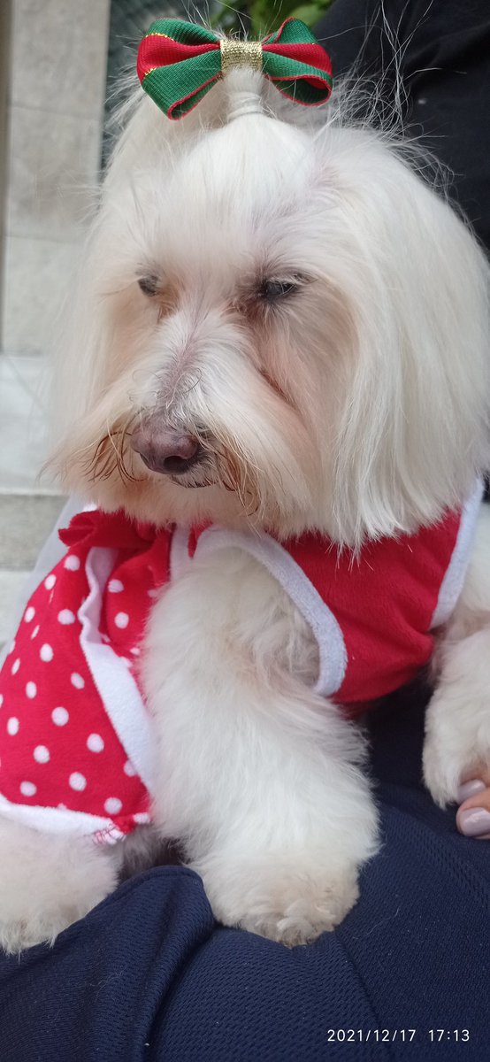terremoto67's tweet photo. Ella es mi hermosa mía.. https://t.co/2YLU6KKyWF