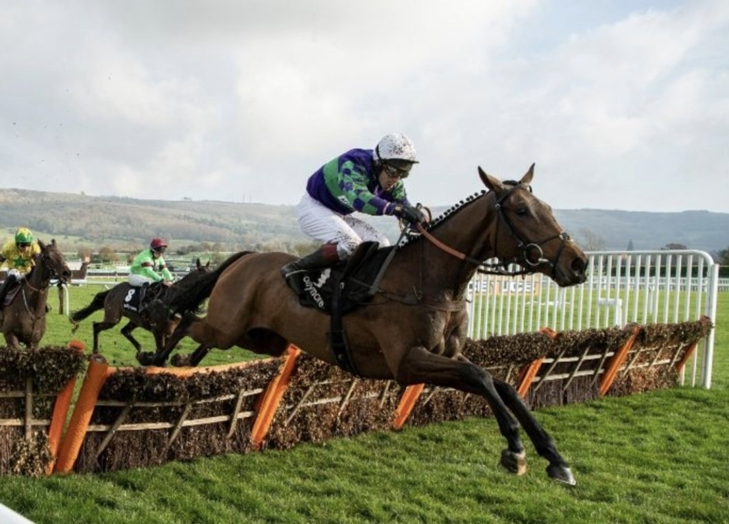 racingblogger's tweet image. 💫 If Thyme Hill wins the Long Walk Hurdle tomorrow I'll give £50 CASH to one of you! 💷

To Enter: 👇

1️⃣ RT this Tweet 
2️⃣ Follow @racingblogger 

😍 #Giveaway #Ascot #Win