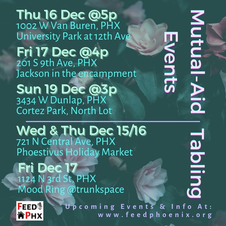 Feed Phoenix tweet media