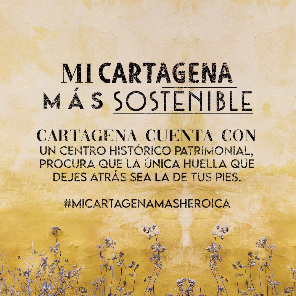 Turismo Cartagena De Indias tweet media