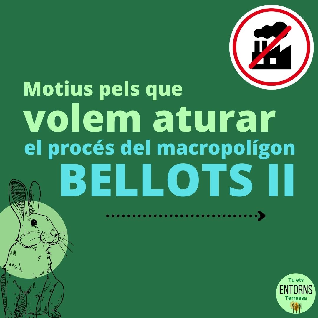 Tu ets entorns Terrassa! tweet media