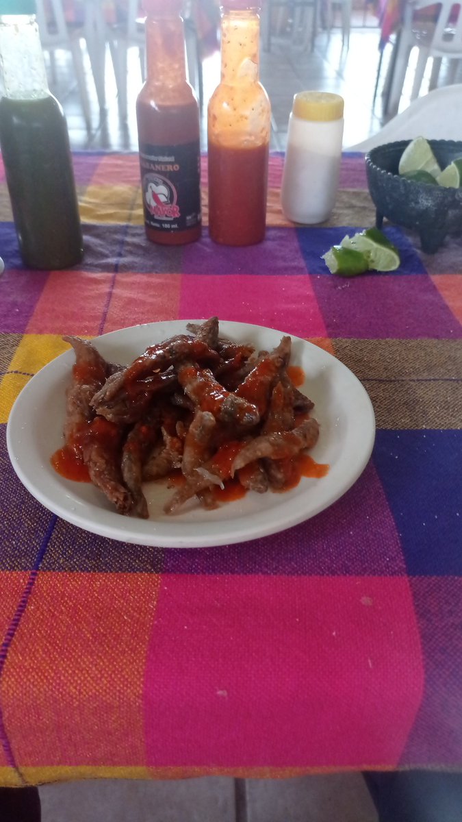 pelonmayall's tweet photo. En el restaurante La Petrita en Chapala echando taco!
Gustan?
#ComoSufro https://t.co/xHhg2YkYf7