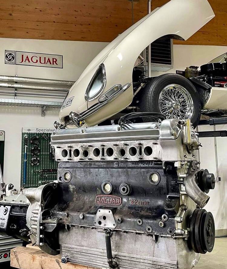 JaguarPics's tweet photo. https://t.co/zV6v7GQ3wO