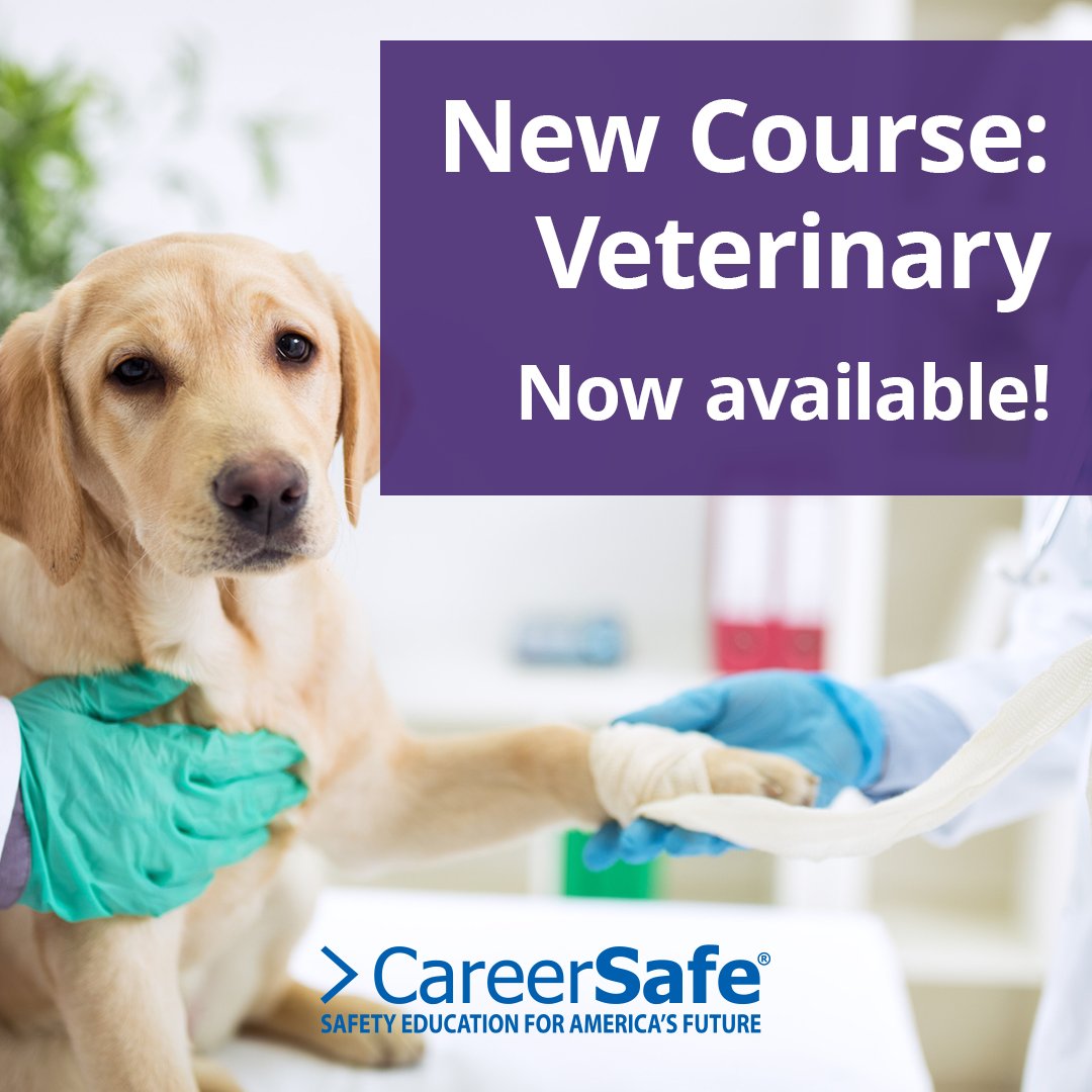CareerSafe's tweet photo. Our brand new OSHA 10-Hour Veterinary course is now available! https://t.co/6BeVFnBKjd #OSHA10Hour #CareerSafeOnline https://t.co/Y5OLMrQ4l5