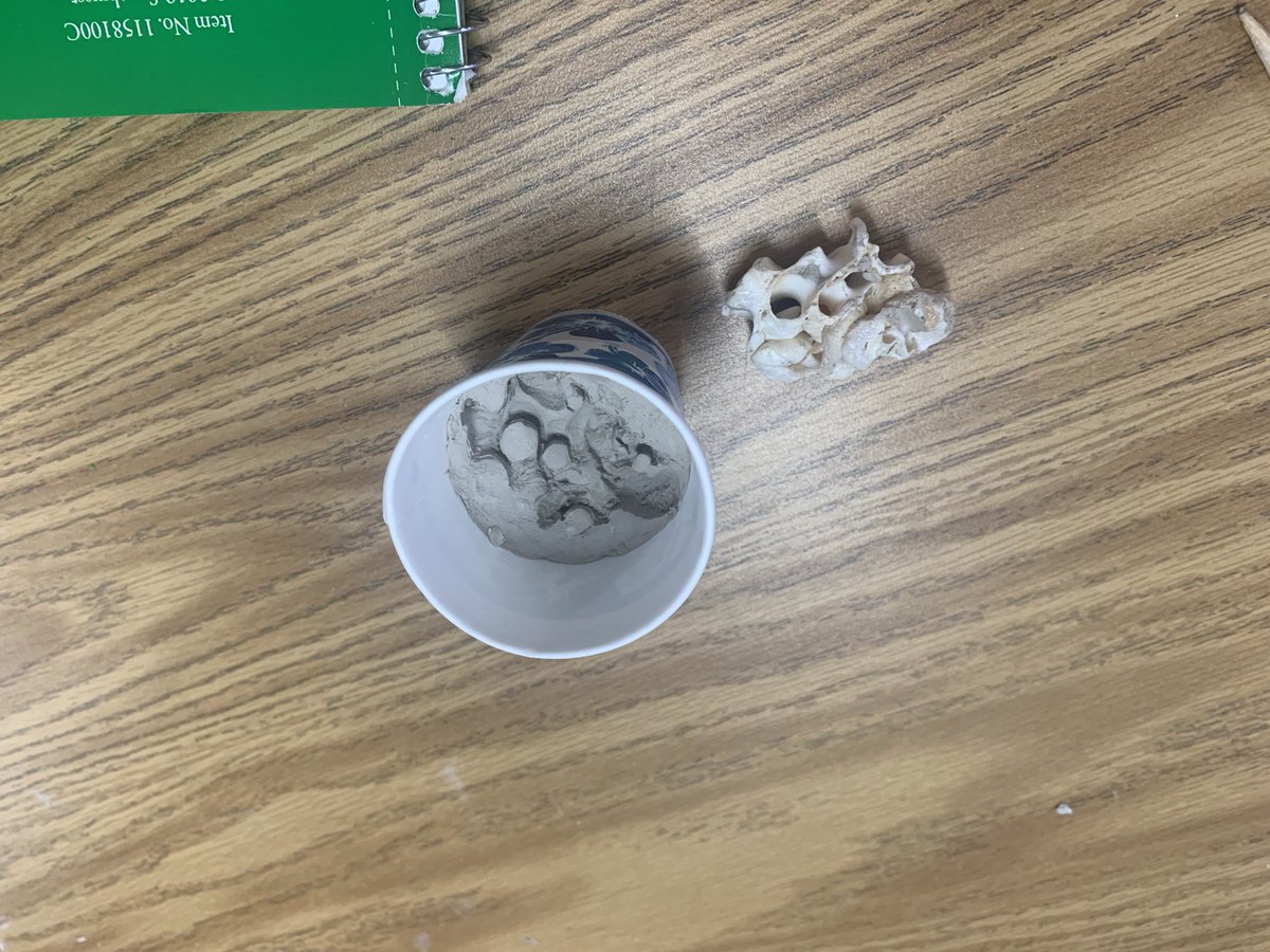 Rachel Estacion tweet media