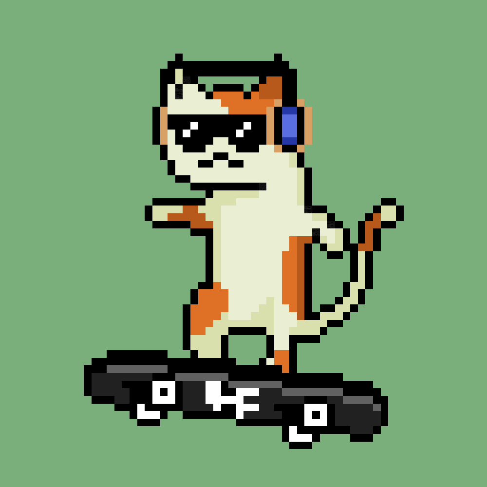 jordan_lowth's tweet photo. Steezy boi @skatercatsoc 
Only 0.088 sol to mint!! No brainer https://t.co/WNWrNUokSM