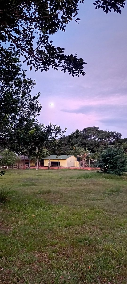 OscarGo01018726's tweet photo. Luna Aguinaldera Por Acá En El Viento Vichada @WALTERSILVA_ @CholoValderrama  @WalterSilvaFC https://t.co/kcfGQT9SVC