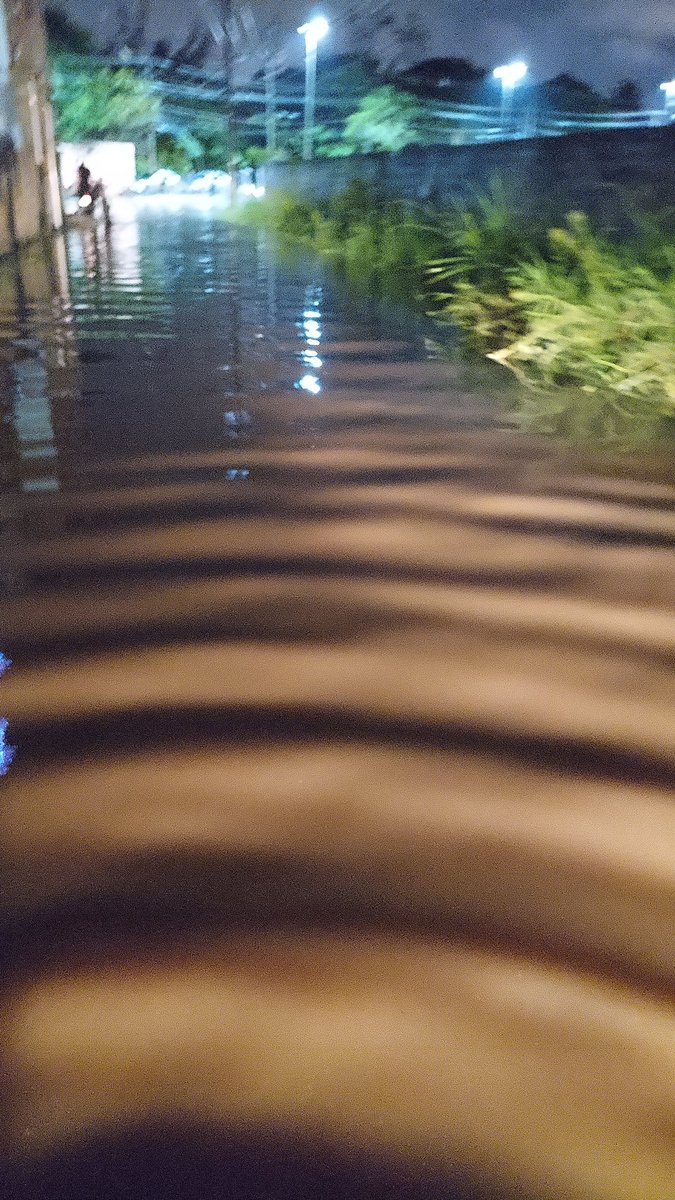 TheRodzilla's tweet photo. Chuva: a
Rio de Janeiro, cidade bem cuidada da minha RÔLA: https://t.co/OsdhYymGsl