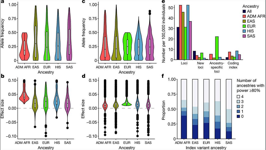 NaturePortfolio's tweet photo. A genome-wide association meta-analysis study of blood lipid levels reported in @Nature demonstrates the gain of power attained when diverse ancestries are included to improve fine-mapping and polygenic score generation. https://t.co/CvufGfRLS1 https://t.co/bHgKYnjDA4
