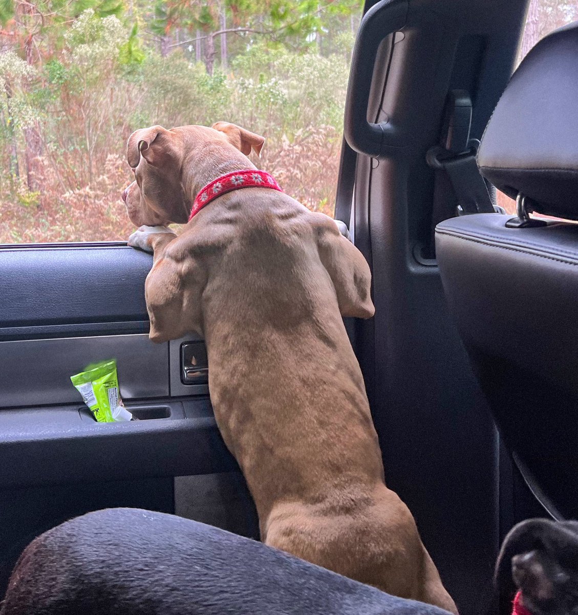 Caitlin Beadles at Wedding | TikTok, image size:1129x1200