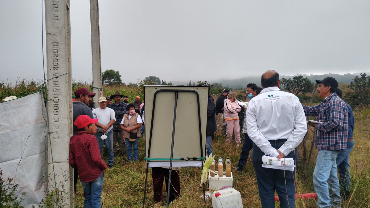 El despacho Red_InnovAC ha tenido la oportunidad de ir implementando, tecnologías el algunos módulos de MasAgro ahora cultivos para México dónde se muestra lo que se ha logrado en 7 años de trabajo <a href="/vmva1950/">Víctor Villalobos Arámbula</a> @santiaarguello <a href="/CIMMYT/">CIMMYT</a> <a href="/ErickOH_AC/">Erick Ortiz Hdez</a>