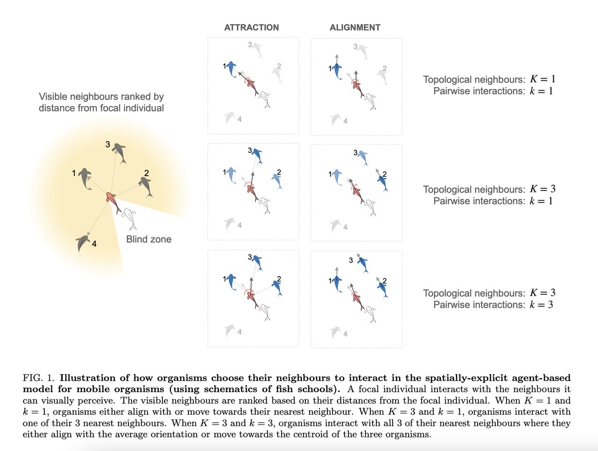 Vishu Guttal !! ವಿಶ್ವೇಶ ಗುತ್ತಲ್ tweet media