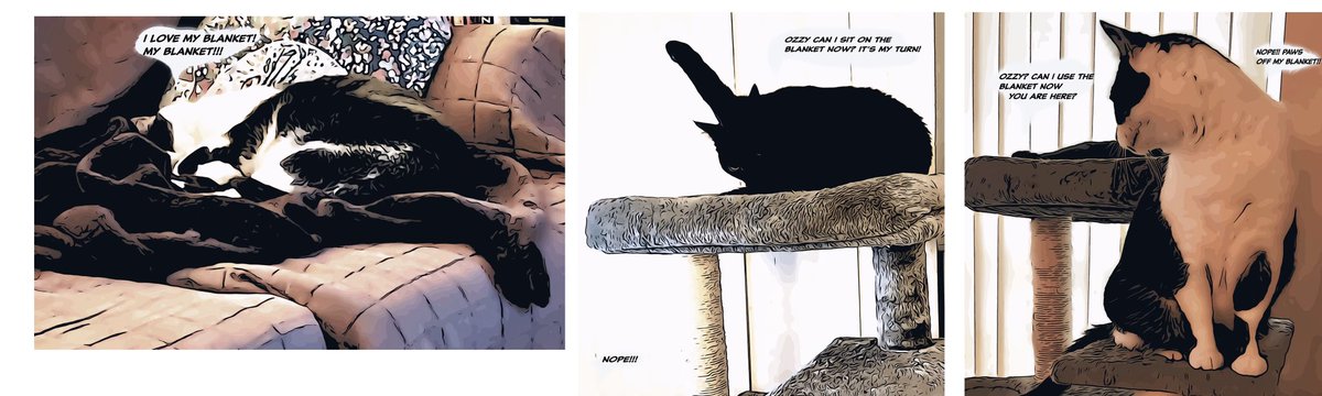 Ripley_DM's tweet photo. Ozzy’s today blog entry is about hoomins Christmas bad decorations attempts and habits…not been taught by him…check it at: https://t.co/80WobmuKgv

Read all about Ozzy's and Tolkien's adventures at home on their comic, Life with Ozzy and Tolkien at: https://t.co/VYsSHbGTTA https://t.co/baqcMTXpxS