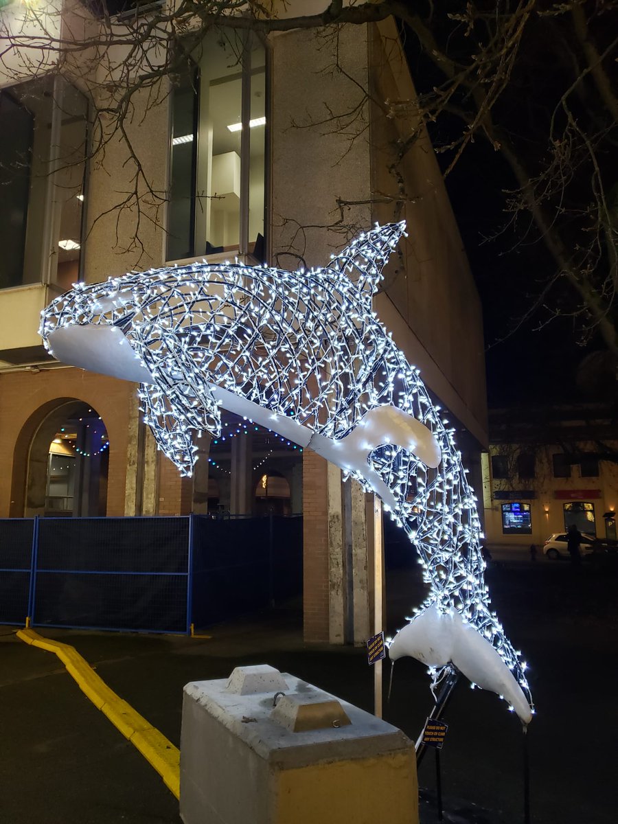 RJC_Victoria's tweet photo. Downtown #yyj is now looking more festive than ever thanks to the magic of #lightsofwonder structures, which RJC has provided structural engineering for. You can find the enchanting light display in Centennial Square until end of December! ๐ https://t.co/eGqAEeURyT https://t.co/xkzNuojG2W