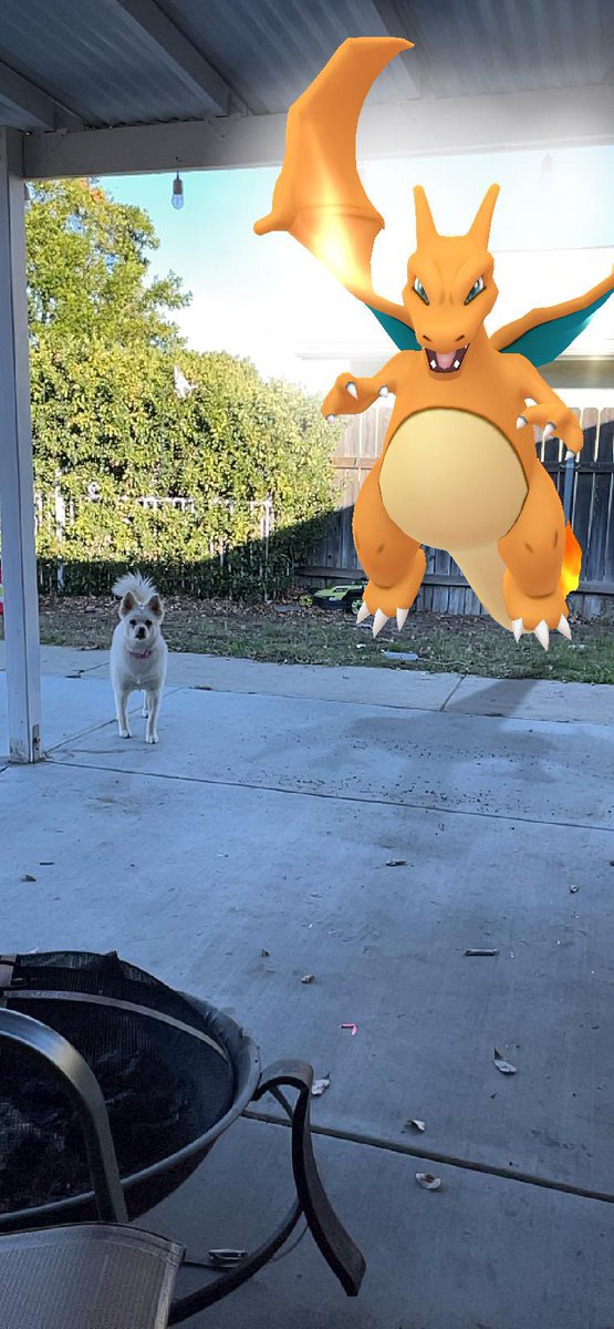 NeenahSkyy's tweet photo. My #HundoCharizard chilling with my baby dog….. #pogo #pokemongo https://t.co/wK8mlKEUrA