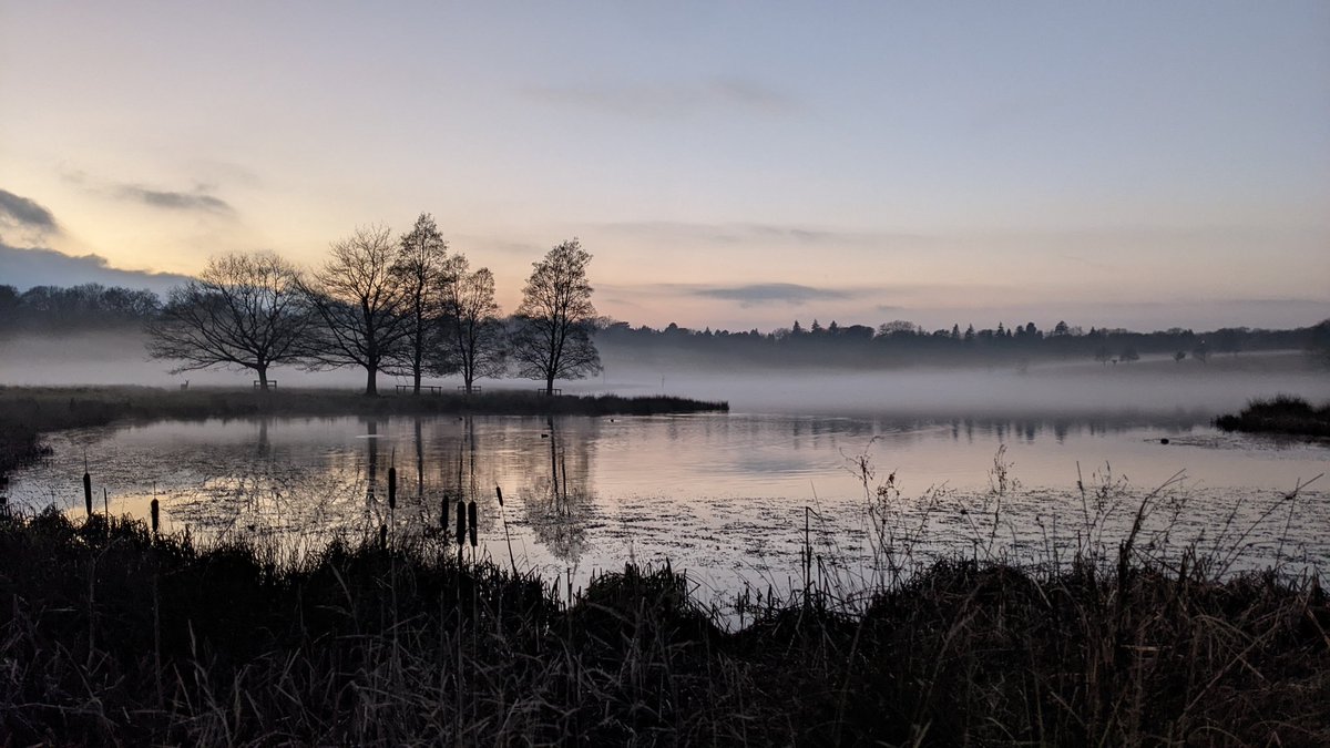 Chillibluecore's tweet photo. @tatton_park at dusk https://t.co/D9PAaBhxDQ