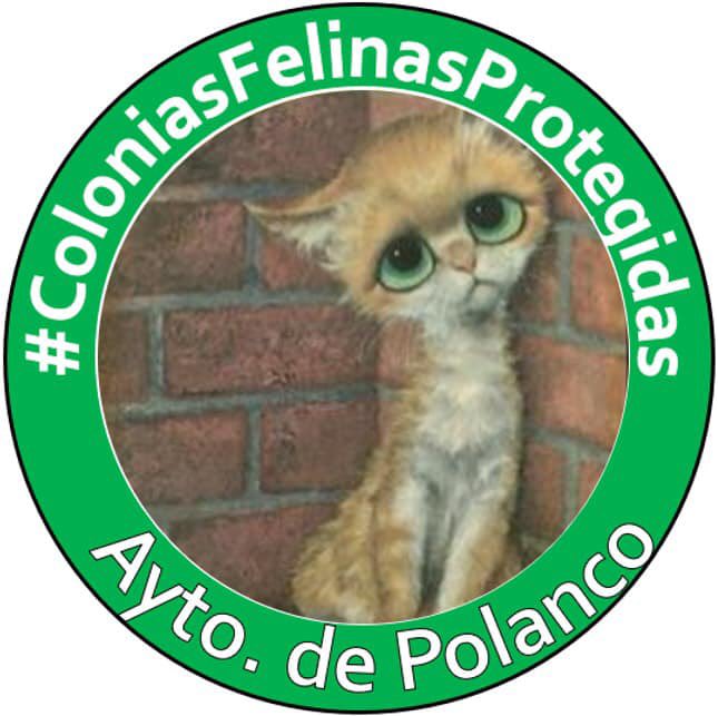 plumagrish's tweet photo. El 
@AytoPolanco
 y su alcaldesa @rcdiazfer73  permite amenazas de muerte y maltrato animal. 
#ColoniasFelinasProtegidas
#NoAlMaltratoAnimal
#AytoDePolanco
#PalabraDeAra https://t.co/zmRRGU400p