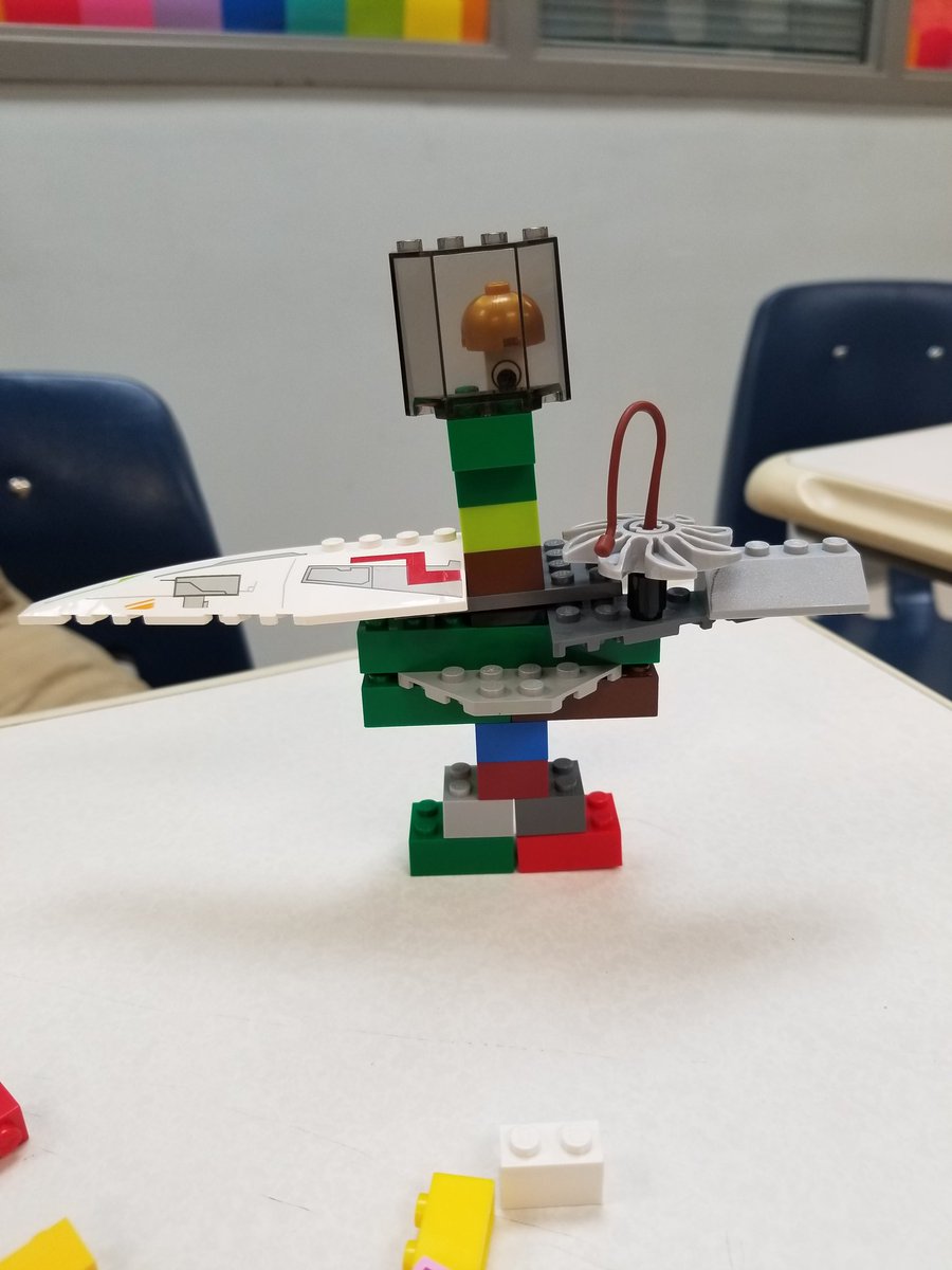 Sandy Coleman tweet media