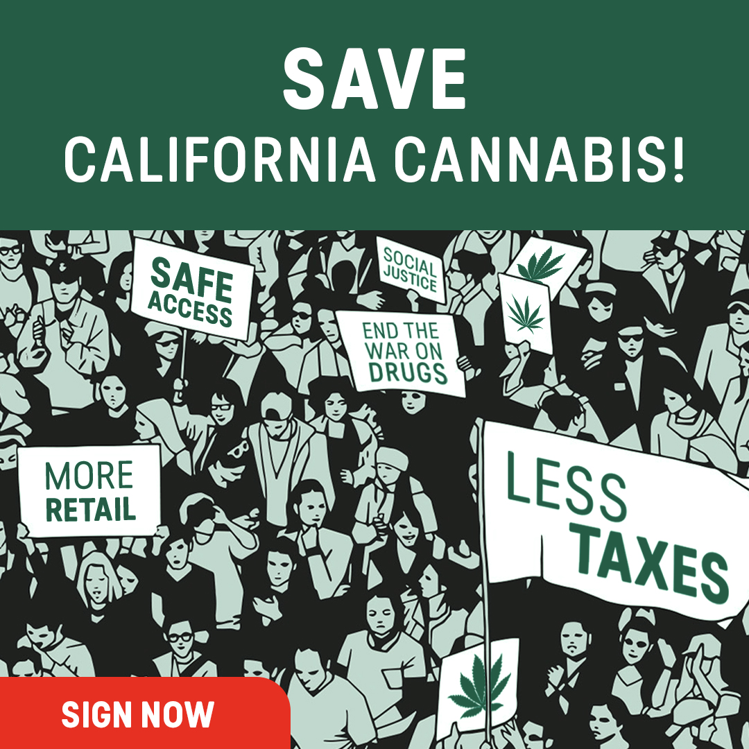 It’s time to make our voices heard✊ Save California Cannabis together!
⁣
Visit savecaliforniacannabis.com to take part. The industry wide movement is just beginning..Please share with others to encourage them to do the same.