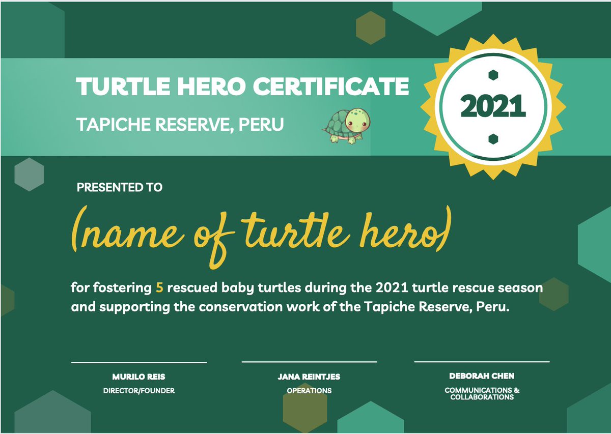 https://t.co/gRFMIe6d6o
Check out the first released rescues in the video and become a 2021 Tapiche Turtle Hero by helping us foster baby turtles until they're ready for the wild! 
#taricaya #turtles #rainforestconservation #turtlerescue #Peru #wildlifeconservation https://t.co/ssdLHVeSmf