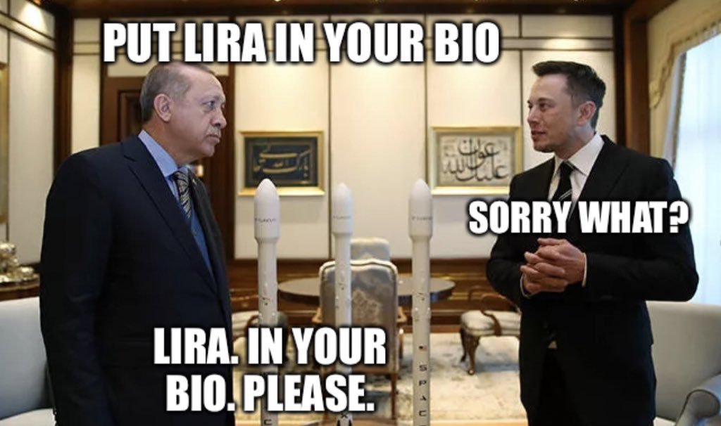 CorySwan's tweet image. Wen $TurkeyCoin pump @elonmusk?