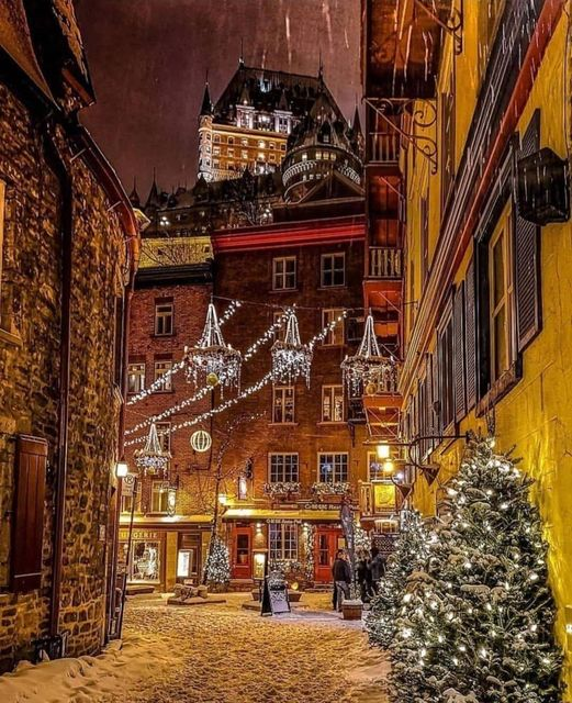 StockShaman's tweet photo. Christmas in Quebec, Canada 😍 📸 @patricetardif https://t.co/pFrJCU4Kpk