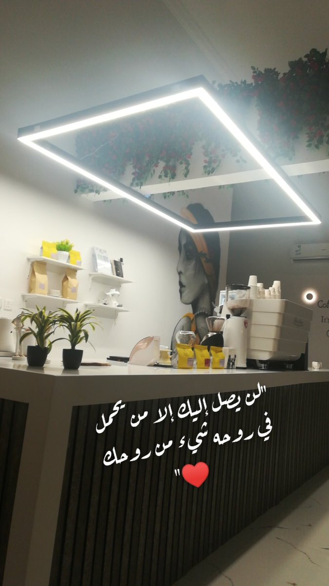 bharalhoob1's tweet photo. #صور_قهوتك_وجوك https://t.co/D1SuskdRpe