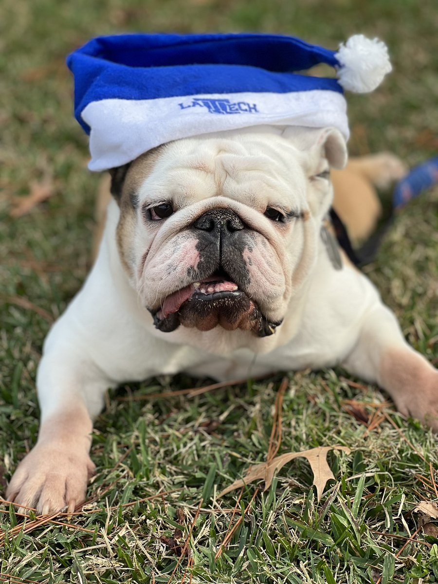 that look you make when they tell you Santa’s been watching <a href="/LATech/">Louisiana Tech University</a> #mascot