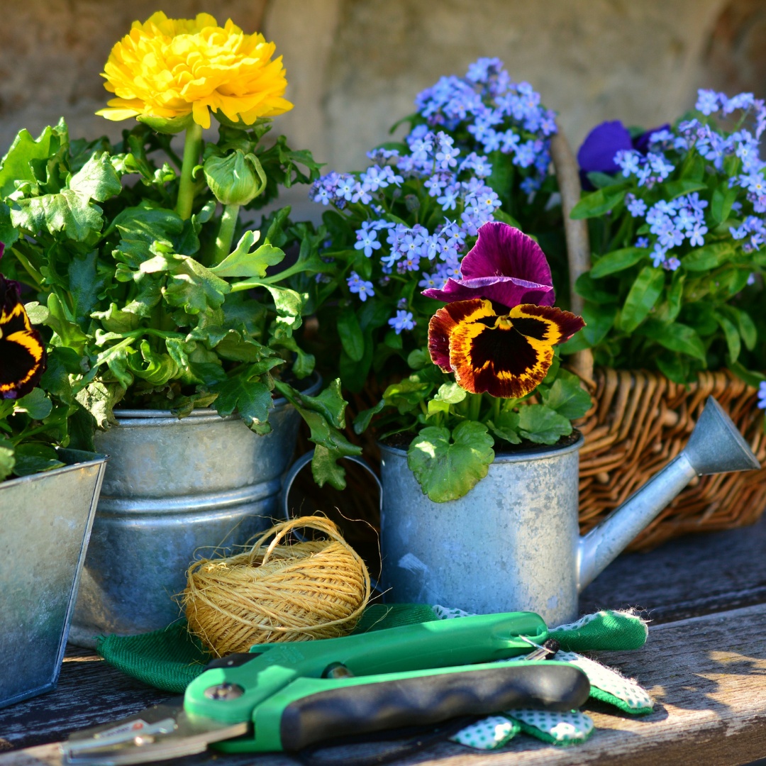 "Write it on your heart that every day is the best day in the year."

Ralph Waldo Emerson