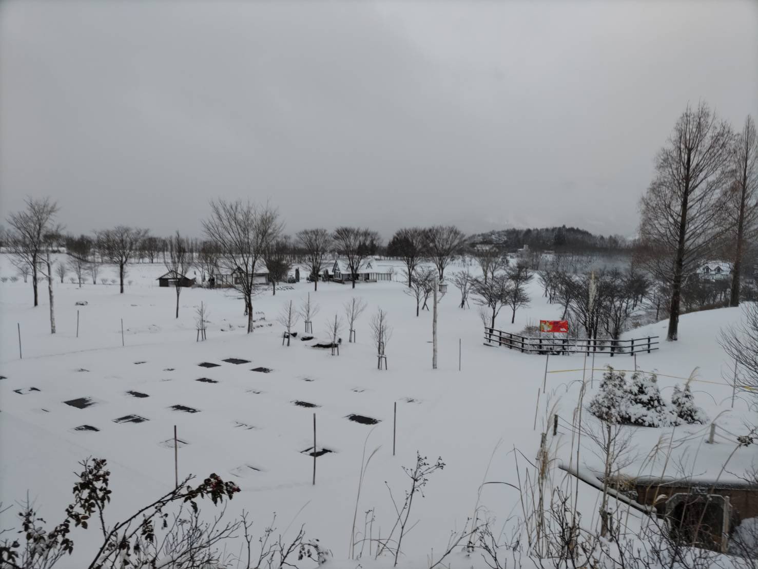ひるがの高原 牧歌の里 公式 おはようございます 雪が積もりました 10センチ位 牧歌の里のウィンターシーズン 本日オープン 牧歌の里の営業時間は10時 15時30分 牧歌の里温泉 牧華は 11時 21時です 牧歌の里 T Co V2qej5y9je