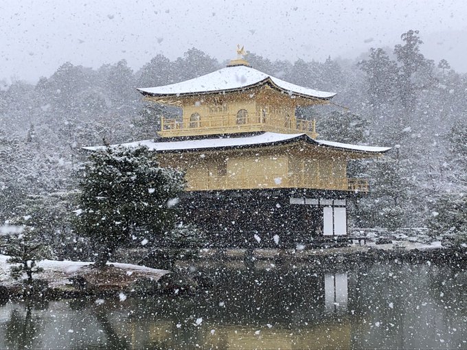 雪の金閣寺のtwitterイラスト検索結果