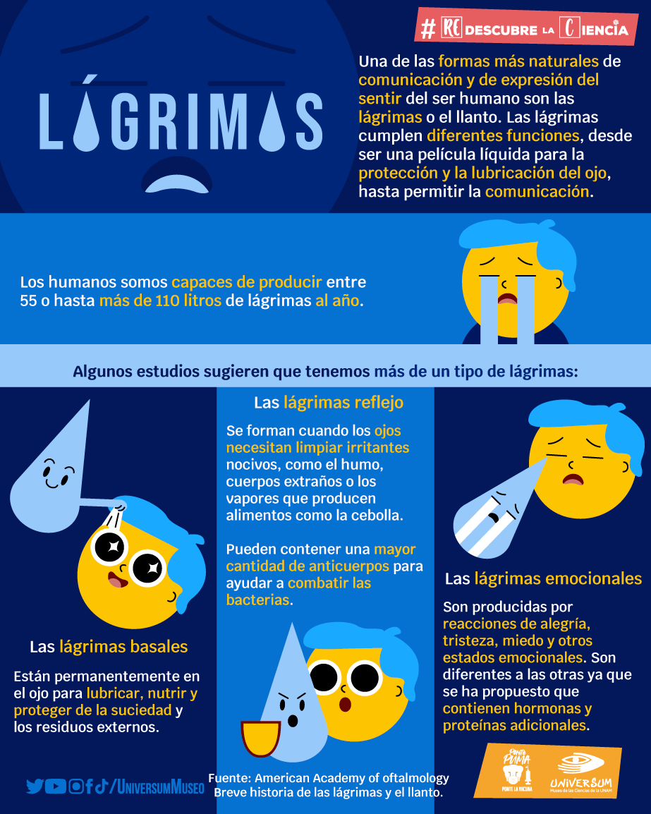UniversumMuseo's tweet photo. Todos hemos derramado lágrimas alguna vez. 😢
Pero  hay más de un tipo de lágrima 💧 ¿Lo sabías? 🧐
Descubre más en esta infografía 👇

#RedescubreLaCiencia con #TuUniversum https://t.co/6SskNlyJFA