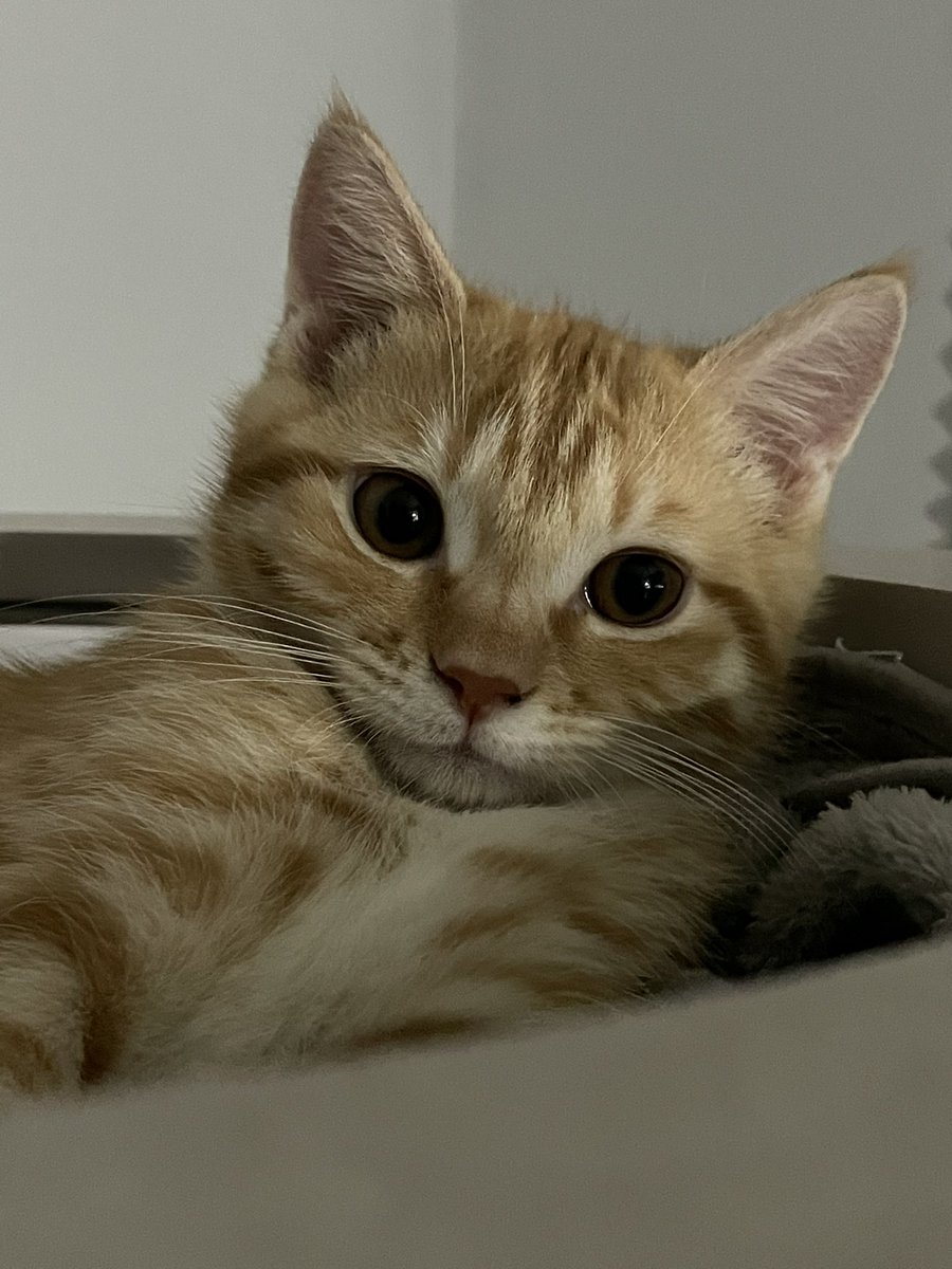 째릿동글
푸짐동글