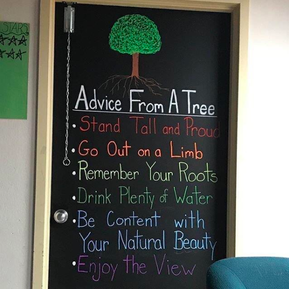 teacher2teacher's tweet photo. 🌳 There's so much wisdom in trees. 

(📸 via educator @PrincipalDodge1) #TeacherTwitter #edchat #EduGladiators https://t.co/Zw5TbH9GFf