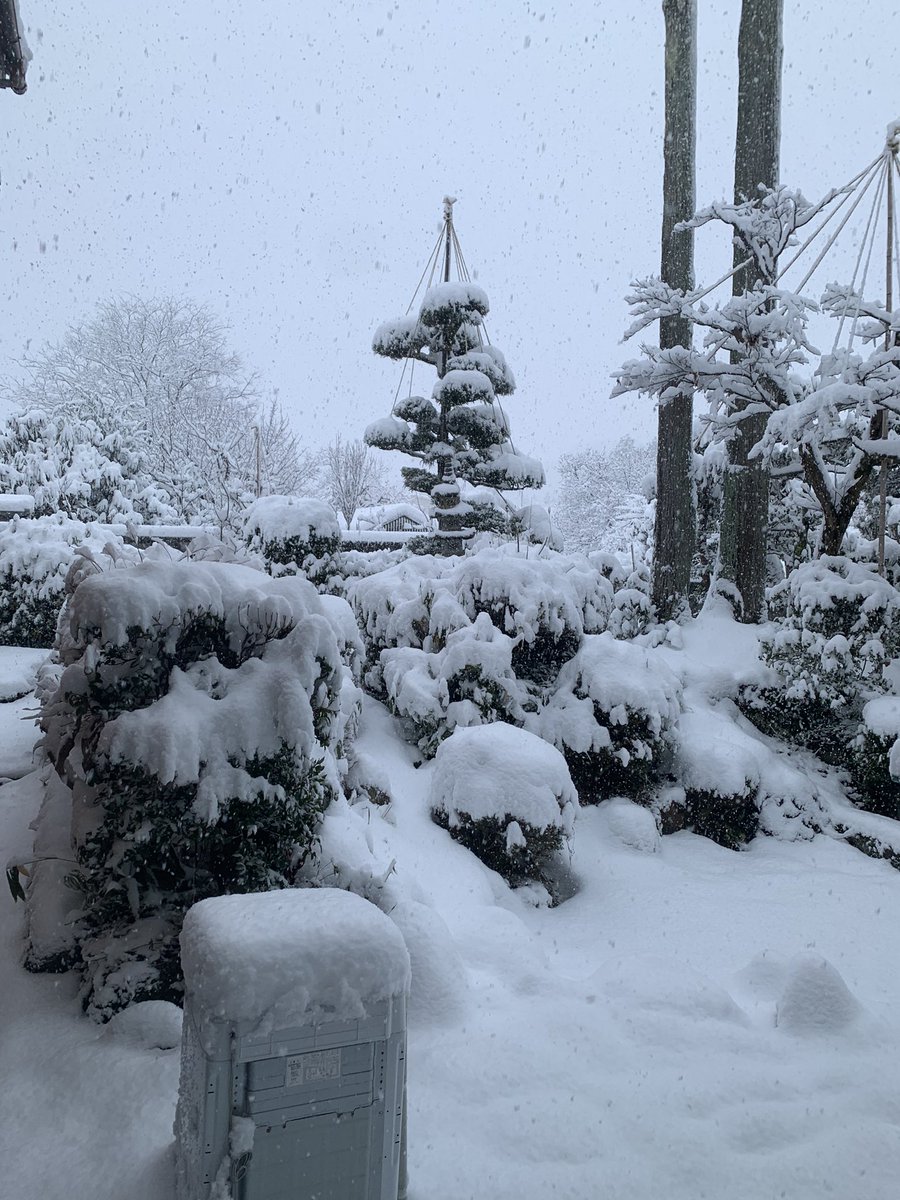 No14531128's tweet photo. @ya_ttaaa830 今朝の富山です❄️❄️ https://t.co/6IP8bsZkEY