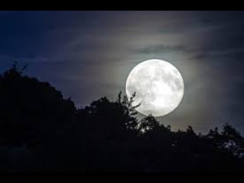 live_meditate's tweet photo. https://t.co/N5vQVLzw64  

Moonlight Calming Meditation-Good For Relieving Stress &amp; Insomnia.  

Click Link  https://t.co/AFsizJ9Ot3  To View Full Length Video. https://t.co/WO0qty3gdl