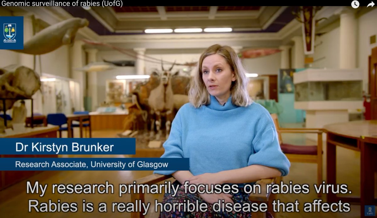 Whoa... Really proud to be a colleague of @kirstynbrunker @rabidbites @hampson_katie @IBAHCM!!!  youtu.be/2P5DVUdFeS8 #rabies #Zeroby30