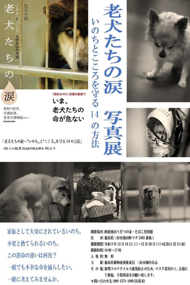 Sae_Kodama's tweet photo. 写真展『老犬たちの涙〜〝いのち〟と〝こころ〟を守る14の方法〜』in徳島、本日より。老犬たちはなぜ行政施設の檻の中に収容されなくてはならなかったのか。老犬たちはどんな想いでそこに居たのか。どうすれば彼らの命と心を守れる社会が実現するのか。一人でも多くの方にメッセージが届きますように。 https://t.co/DpfSWbiZsh