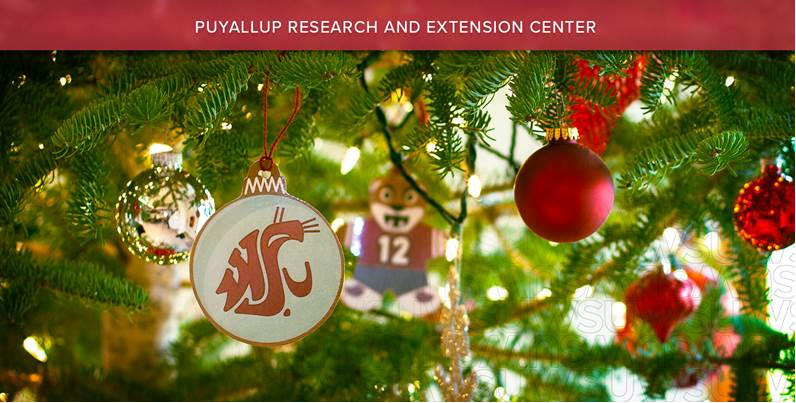 WSUPuyallupREC's tweet photo. Happy Holidays to you and yours from the headquarters of Dr. Christmas Tree @ppoWSU https://t.co/dsv5mobKlB