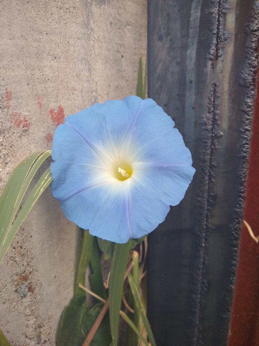 Gracias por escribir 😊