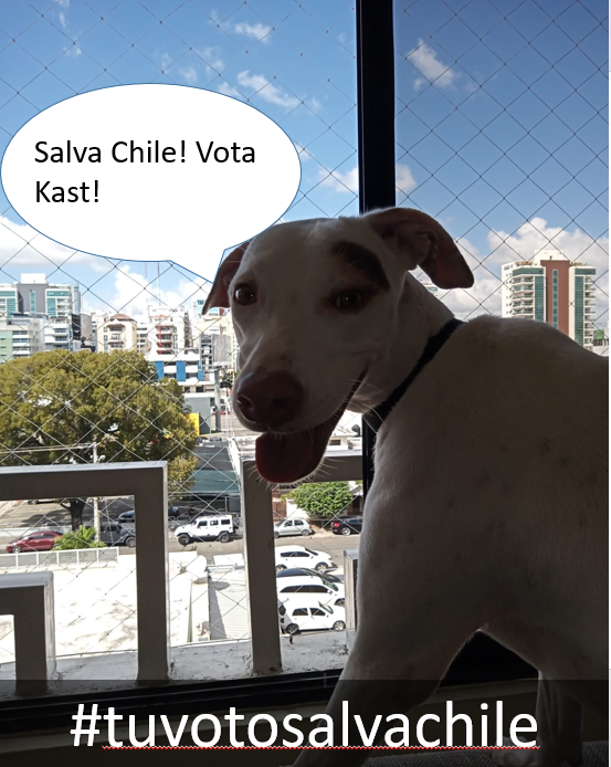 Sebastian178065's tweet photo. Manchi dice que tu voto puede salvar a Chile! #PerritosLindosConKast https://t.co/hkspzcnLMz